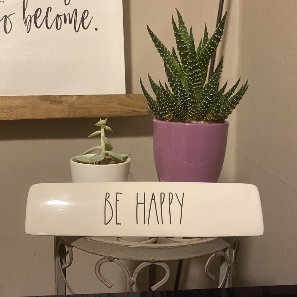 🦋2/$22 Rae Dunn home or office decor